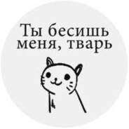 .denyamad